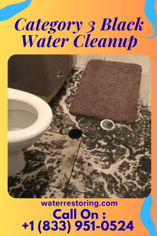 Category 3 Black Water Cleanup in Loganton, PA