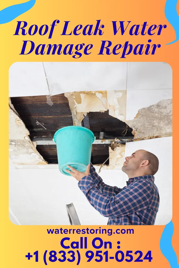 Roof Leak Water Damage Repair in Loganton, PA